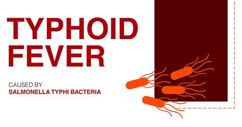 Typhoid Fever Symptoms Archives Eremedium