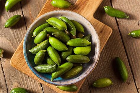The fruit has the shape and size of a finger. Finger Lime Chefin