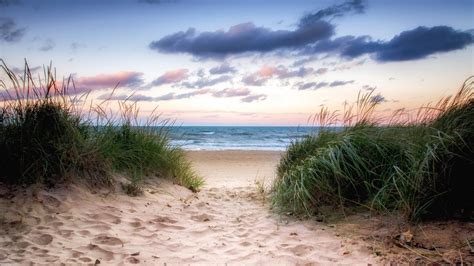 Download Horizon Sea Ocean Path Grass Sand Nature Beach Hd Wallpaper