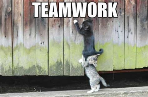 22 Awesome Examples Of Teamwork Done Right Viraluck