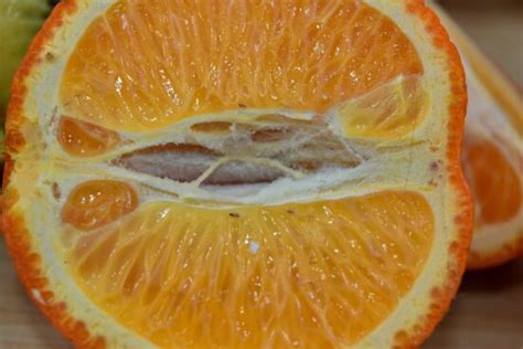 Free Picture Citrus Half Mandarin Orange Peel Orange Yellow