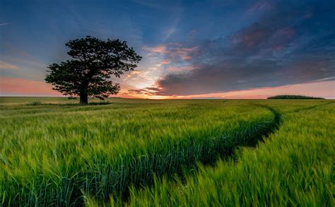 Sfondi Luce Del Sole Paesaggio Tramonto Collina Natura Cielo