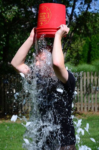 Does The Als Ice Bucket Challenge Fund Embryonic Stem Cell Research
