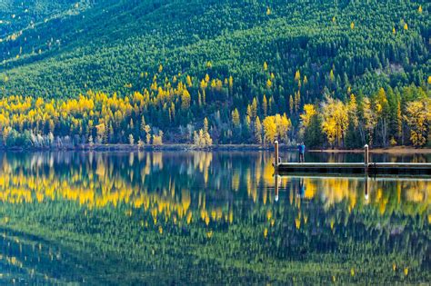 Reflection Of Trees In Lake · Free Stock Photo