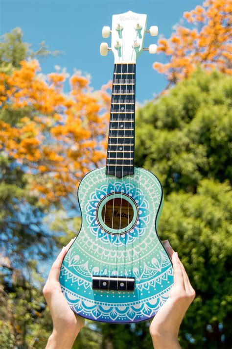 Ombrelele Teal Hand Painted Ukuleles Personalised By Coral Flamingo