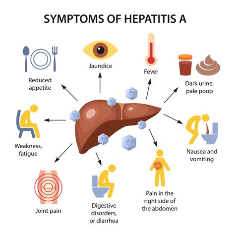 Hepatitis A Sexual Health