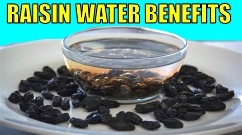 18 Black Raisin Water Benefits What Happens To Your Body If You Drink