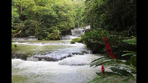 Ys Falls And Black River Safari Jamaica Youtube