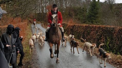 fox hunt meets for final time after 250 years bbc news