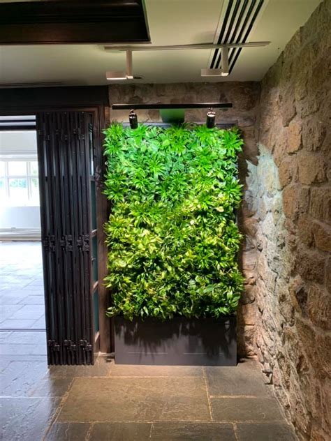 Twin Green Walls | Foliage Design Systems Corporate