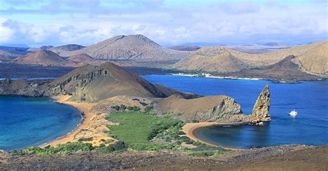 Drawings and descriptions of plants common on galapagos. Island Vacations in the Galapagos Islands | Explore the Galapagos Islands | Evaneos