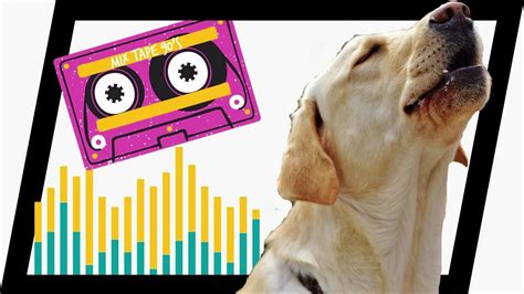 👉 Sonidos Para Perros Para Que Aullen 🐶🔊 Dog Barking Youtube