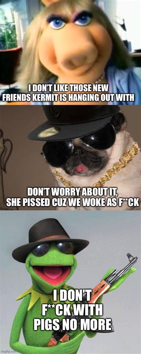 Image Tagged In Mad Miss Piggygangster Dogkermit The Frog Gangster
