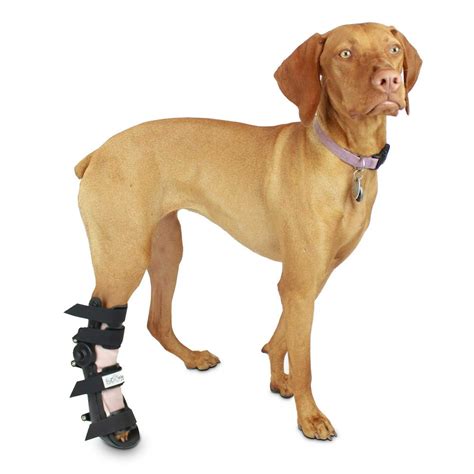 Fit Adjustable Pet Splint Dog Foot Splint Helps Brace Lower Front