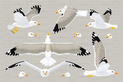 ♥ Vector Seagull Sea Gull Set Custom Designed Graphic Patterns