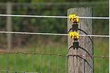 Electric Wire Dog Fence Images
