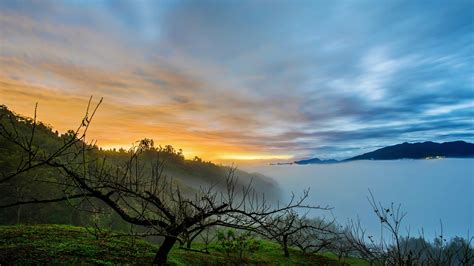 Wallpaper Morning Fog Trees Sunrise Lake Clouds 1920x1200 Hd