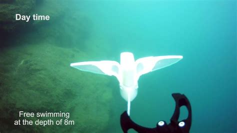 Researchers Build A Swimming Robot That Works In The Mariana Trench