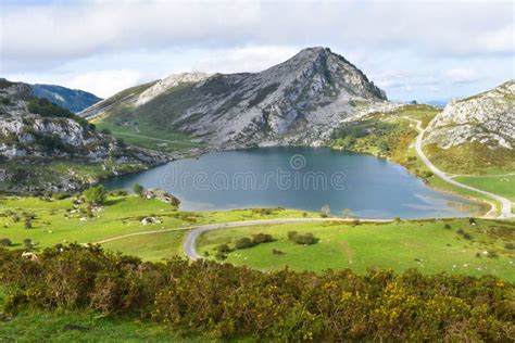 Covadonga Lakes Spain Stock Image Image Of Alps Grass 266565953