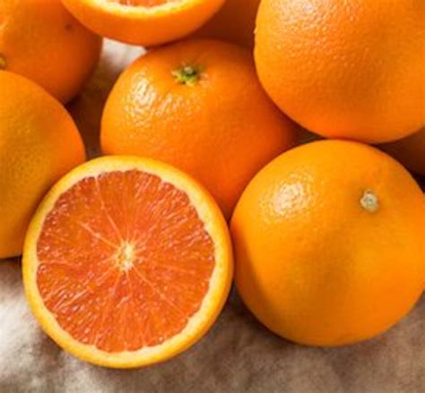 Organic Oranges 3kg Nets Hinterlanddeliveries