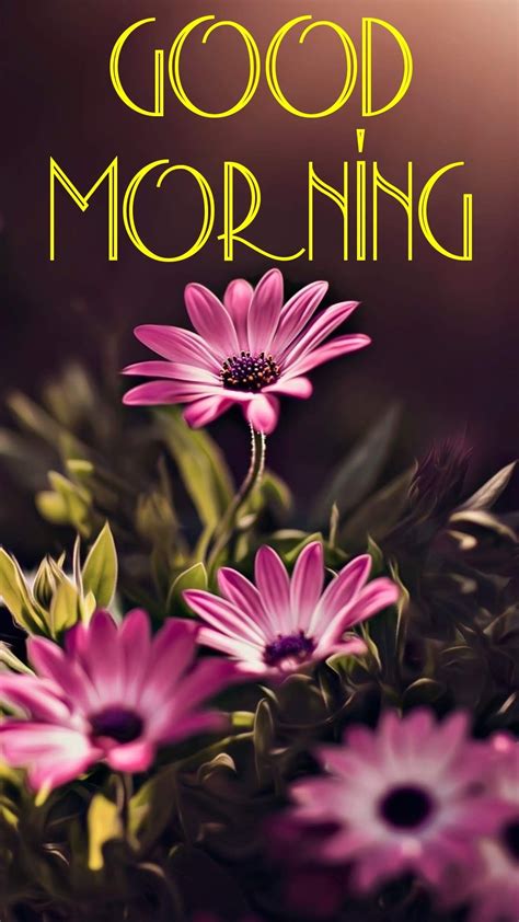 Today we are sharing beautiful good morning images with flowers for whatsapp & facebook. Pin by Annie Chattergoon on Morning greetings quotes ...