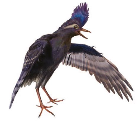 Art Illustration Prehistoric Birds Archaeornithura Is A Primitive