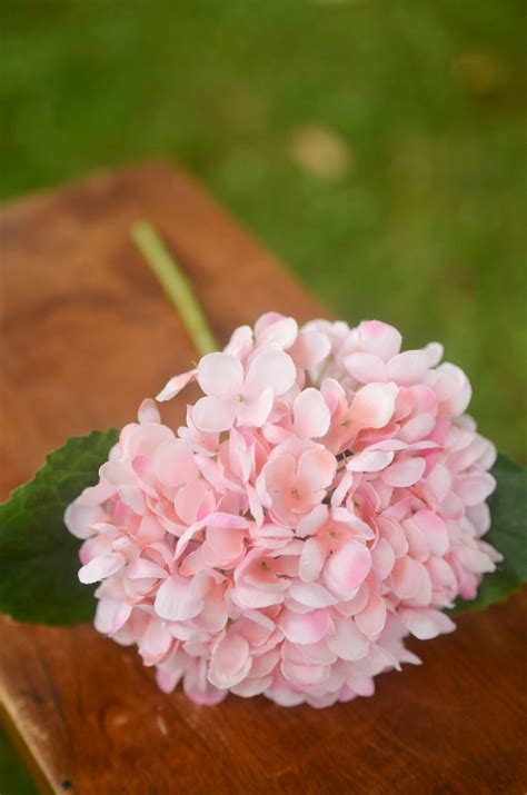 light pink silk hydrangea pink hydrangea spring flowers etsy uk