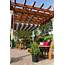 Garden With Pergola  50 Ideas For Your Summery Design My