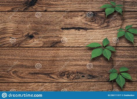 Brown Wooden Background With Green Leaves Stock Image Image Of Leaves
