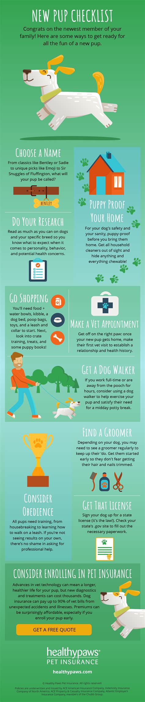 New Dog Checklist Healthy Paws