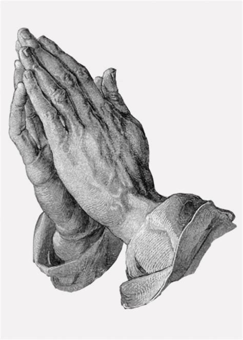 Albrecht Durer Hands Praying Praying Hands Praying Hands Drawing