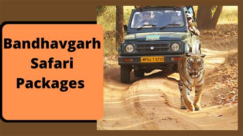Best Bandhavgarh Safari Packages