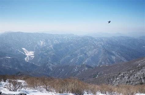 Jalan ginko yang dapat dinikmati sepanjang musim gugur merupakan. 4 Spot Ini Sajikan Indahnya Nuansa Musim Dingin di Korea ...