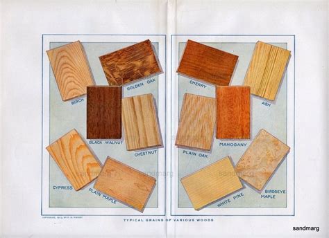 1913 Chart Of Typical Grains Of Various Woods Etsy Wood Grains