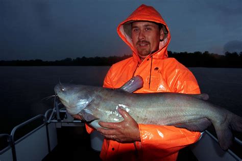 10 Hot Tips For Catfishing Success Game And Fish