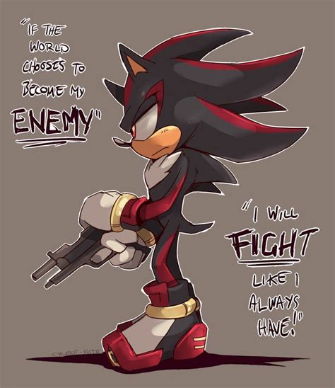 Afbeelding Sonic The Hedgehog Shadow The Hedgehog Sonic And Shadow