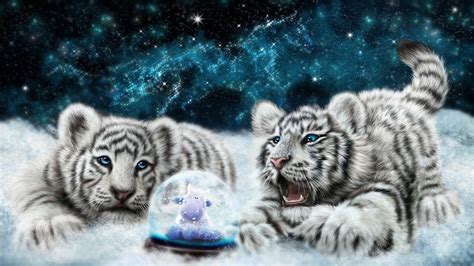 Hd White Tiger Cubs Looking At The Snowglobe Wallpaper Download Free