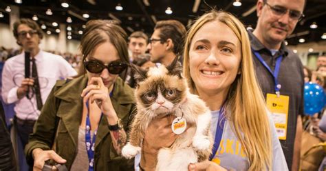 Grumpy Cat Has Died At The Age Of 7 Heres How Her Owner Created A