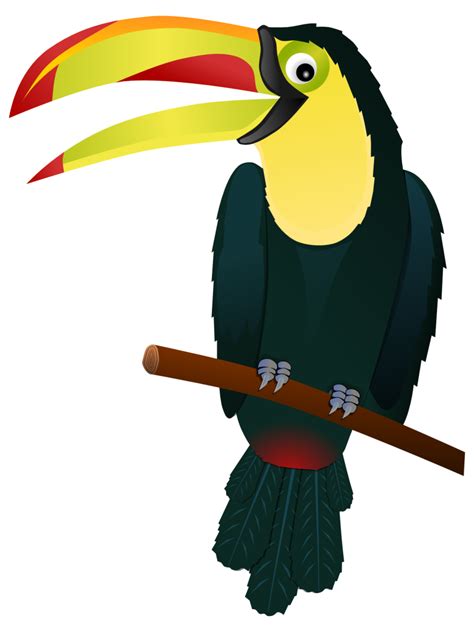 Toucans Clipart 20 Free Cliparts Download Images On Clipground 2023