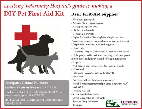 June Is National Pet Preparedness Month Heres What We Recommend In A