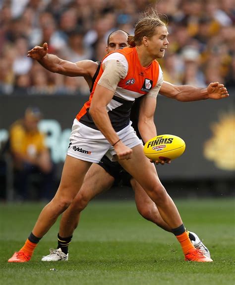 Afl daily podcast drops at 7.30am aest monday to friday, you'll get the latest footy news and views. Every Giants player rated from the second preliminary ...