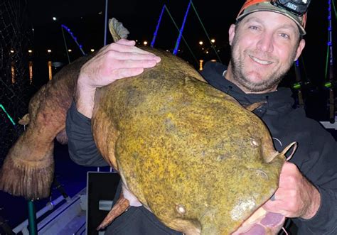 Beaver County Angler Catches 65 Pound Beast Of A Catfish Pittsburgh