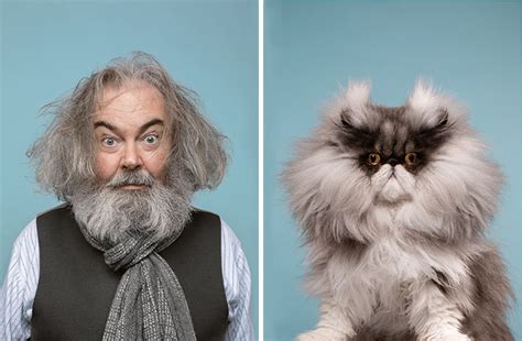 Funny Look Alike Cat And Human Doppelgangers Around The World By