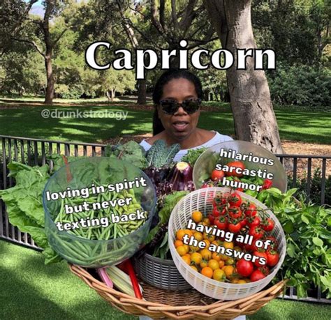 These Capricorn Season Memes Will Totally Speak To Your Inner Goat