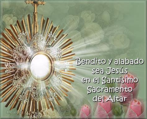 Mi Rincon Espiritual Oración A Jesús Solitario En El Santísimo Sacramento