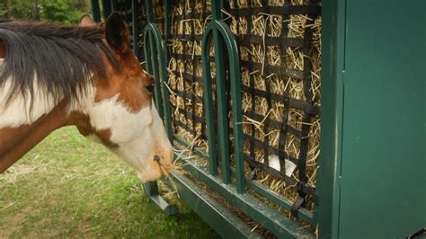 The Best Hay Feeders For Horses 2024 Guide