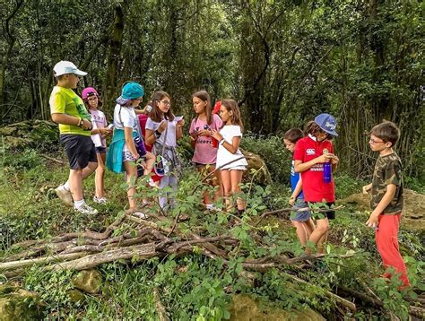 5 outdoor activities to do in SUMMER - Teachers Pit Stop