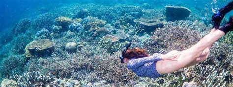 Activities In Raja Ampat Besides Diving Papua Paradise