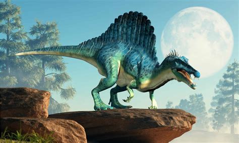 Spinosaurus Spinosaurus Prehistoric Animals Dinosaurs