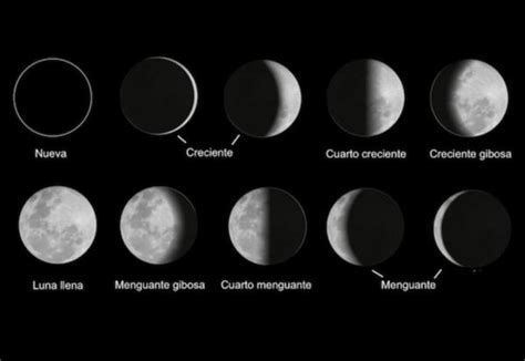 Fases De La Luna Cuáles Son Y Cómo Identificarlas Resumen